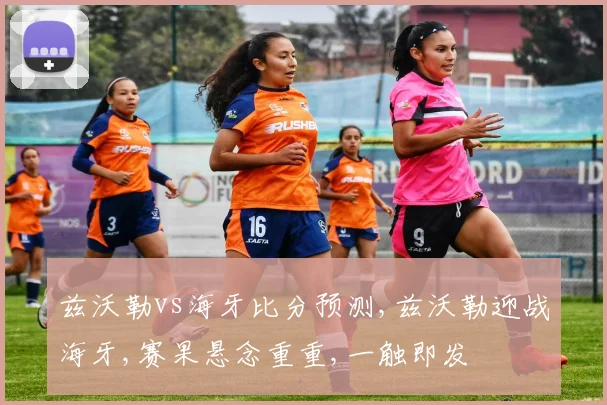 兹沃勒vs海牙比分预测,兹沃勒迎战海牙,赛果悬念重重,一触即发