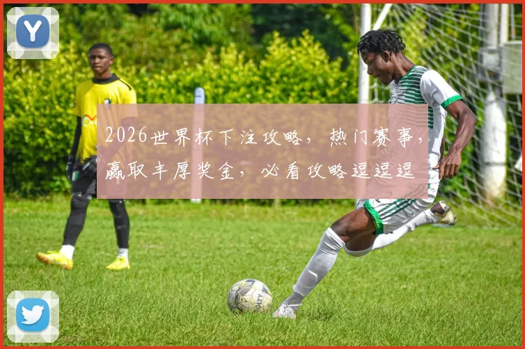 2026世界杯下注攻略，热门赛事，赢取丰厚奖金，必看攻略逗逗逗